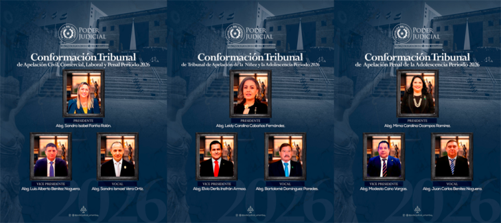 Conformación de los Tribunales de Apelación para el periodo 2026
